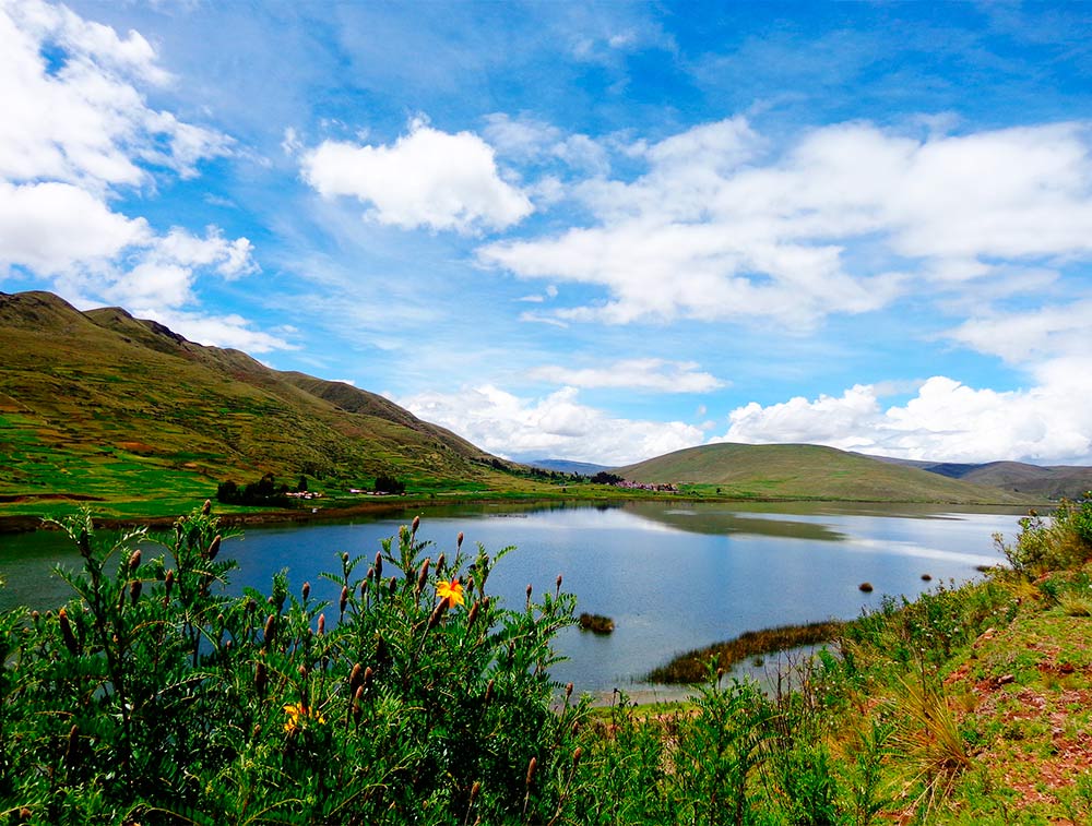 4 Lagoons
