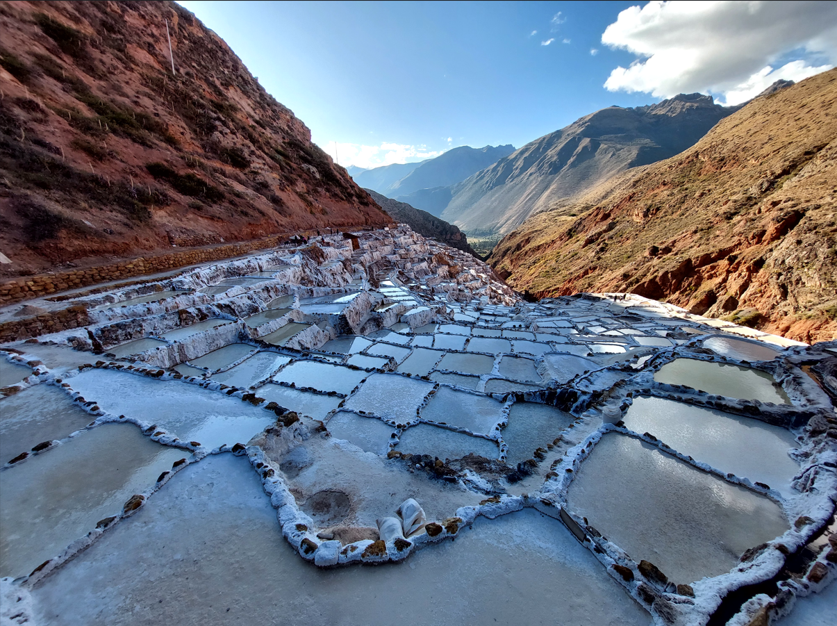 Maras